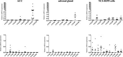 Impact of the Chemokine Receptors CXCR4 and CXCR7 on Clinical Outcome in Adrenocortical Carcinoma